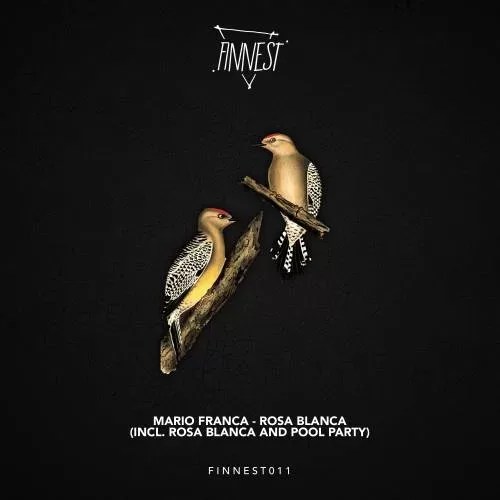 FINNEST presenta ‘Rosa Blanca’ el nuevo trabajo del portugués Mario&nbsp;Franca